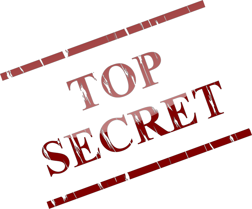 Akademia Animatora - TOP SECRET