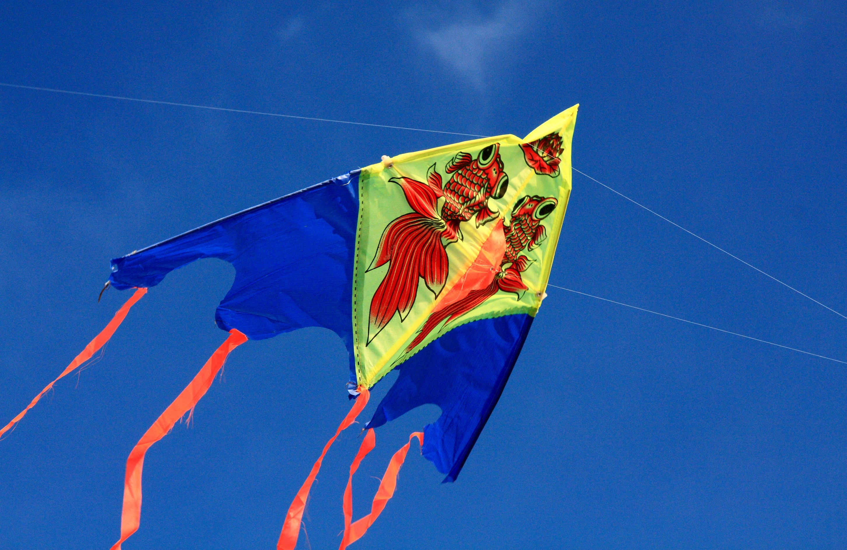 Jesień jest nudna? Nie z Akademią Animatora! :-)