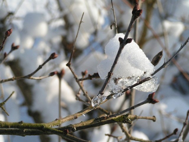 Sposoby na zimowe zrzucanie kalorii