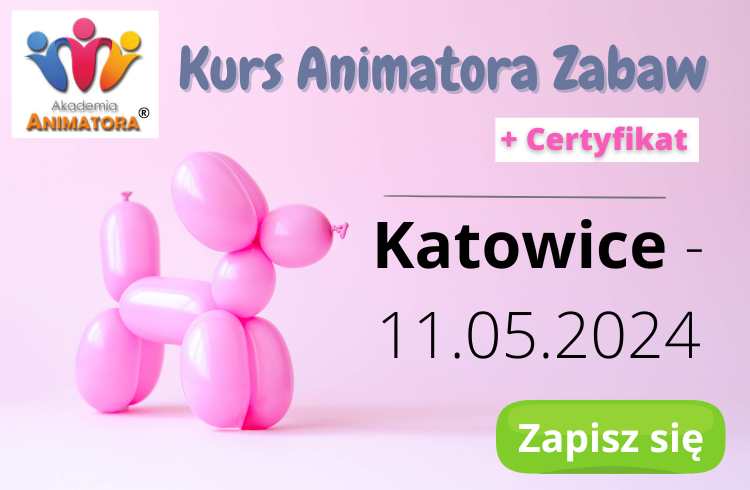 Kurs Animatora Katowice
